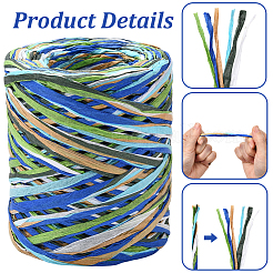 Segment Dyed Raffia Paper Cords for DIY Craft&nbsp;OCOR-WH20020-27B