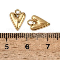 304 Stainless Steel Charms&nbsp;STAS-R170-01G-04
