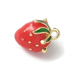 Brass Enamel Charms&nbsp;KK-P290-57G