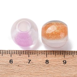 Opaque Resin with Glitter Powder European Beads&nbsp;RESI-G119-04