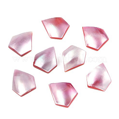 Natural Turbo Cornulus/Top Shells Cabochons&nbsp;SSHEL-N003-155B
