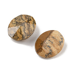 Natural Picture Jasper Cabochons&nbsp;G-C146-02C