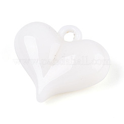 Opaque Acrylic Pendants&nbsp;SACR-T017-45G