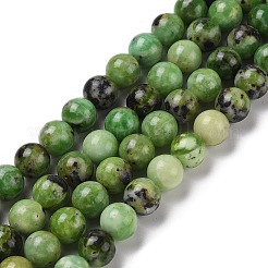 Natural Serpentine Bead Strands&nbsp;G-N166-26