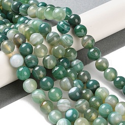 Natural Striped Agate/Banded Agate Beads Strands&nbsp;X-G-Z060-A01-B01