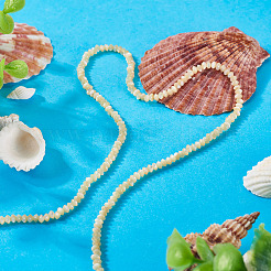 1 Strand Natural Trochus Shell Rondelle Beads Strands&nbsp;SSHEL-TA0001-16B
