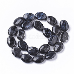 Natural Larvikite Beads Strands&nbsp;G-S359-001