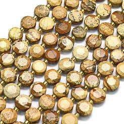 Natural Picture Jasper Beads Strands&nbsp;G-C116-A142-01