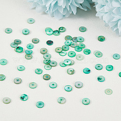 150Pcs Natural Freshwater Shell Beads&nbsp;SHEL-AR0001-09