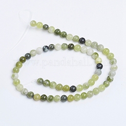 Natural Qinghua Jade Beads Strands&nbsp;G-G818-01-6mm