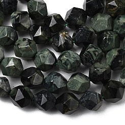 Natural Kambaba Jasper Beads Strands&nbsp;G-Z119-A20-01