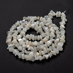 Natural Rainbow Moonstone Beads Strands&nbsp;G-A200-02
