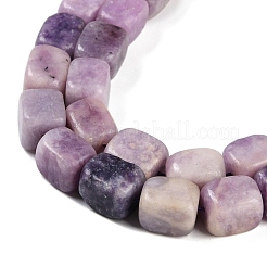 Natural Lepidolite Beads Strands&nbsp;G-M403-D06-01