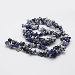 Natural Sodalite Beads Strands&nbsp;G-F328-25