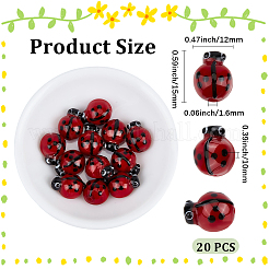 20Pcs Handmade Lampwork Beads&nbsp;LAMP-PA0001-66