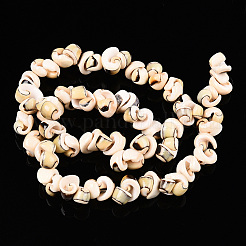 Natural Sea Shell Beads Strands&nbsp;BSHE-E026-14