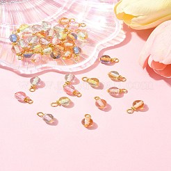 40Pcs Gradient Color Resin Pendants&nbsp;PALLOY-FS00029