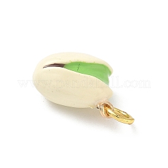 Brass Enamel Pendants&nbsp;KK-H523-01B-G