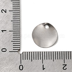 304 Stainless Steel Charms&nbsp;STAS-D217-04P