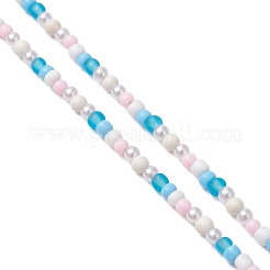Synthetic Turquoise & Glass Seed & Plastic Beaded Adult Eyeglasses Chains&nbsp;AJEW-EH00397
