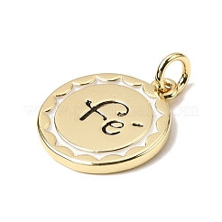 Brass Enamel Pendants&nbsp;KK-H267-011G-06