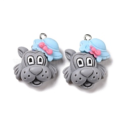 Opaque Resin Pendants&nbsp;LS-RESI-G032-I05
