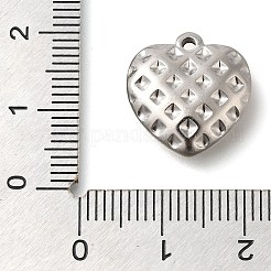 Anti-Tarnish 304 Stainless Steel Pendants&nbsp;STAS-I310-22P