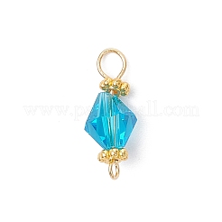 Imitation Austrian Crystal Connector Charms&nbsp;PALLOY-JF04493