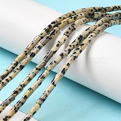 Natural Dalmatian Jasper Beads Strands&nbsp;G-E612-B01