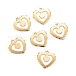 201 Stainless Steel Charms&nbsp;LS-STAS-K217-75G