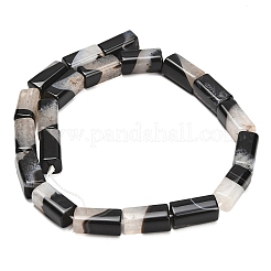 Natural Agate Beads Strands&nbsp;GG-L001-H01-02E
