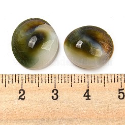 Conch Sea Shell Cabochons&nbsp;BSHE-Z005-08