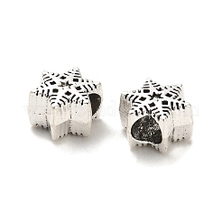 Tibetan Style Alloy European Beads&nbsp;PALLOY-K019-03H-AS