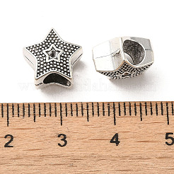 Tibetan Style Alloy European Beads&nbsp;PALLOY-M217-12AS