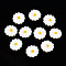 Natural Freshwater Shell Beads, with Enamel, Flower, Gold, 12~13x3~4mm, Hole: 0.9mm