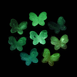 Luminous Transparent Acrylic Beads&nbsp;LACR-N002-02