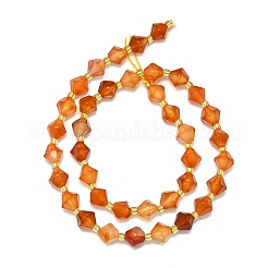 Natural Carnelian Beads Strands&nbsp;G-I376-B10-01