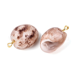 Brass & Natural Spiral Shell Pendants&nbsp;SHEL-Q029-19KCG