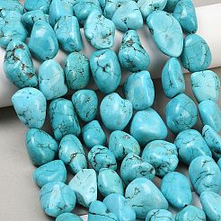 Natural Magnesite Beads Strands&nbsp;G-K244-05B