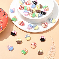 30Pcs 6 Colors Resin Cabochons&nbsp;CRES-CJ0001-72