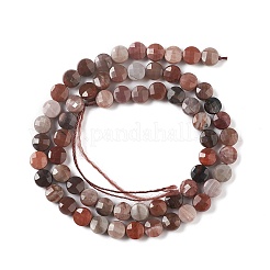 Natural Petrified Wood Beads Strands&nbsp;G-K332-B02