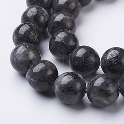 Natural Larvikite Beads Strands&nbsp;GSR12mmC128