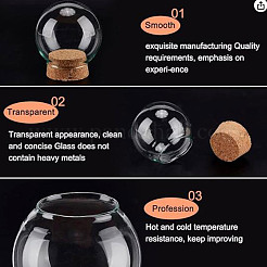 Glass Dome Cover&nbsp;FIND-WH0152-555