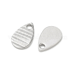 304 Stainless Steel Charms&nbsp;STAS-G393-05P-03