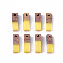 Resin & Wood Pendants&nbsp;RESI-S358-19-M