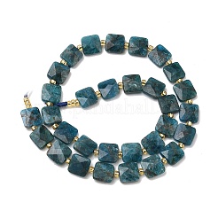 Natural Apatite Beads Strands&nbsp;G-L642-L10-10mm