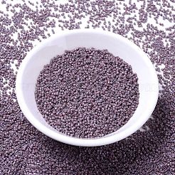 MIYUKI Delica Beads&nbsp;SEED-JP0008-DB1066
