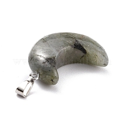Natural Labradorite Pendants&nbsp;G-Z022-02A