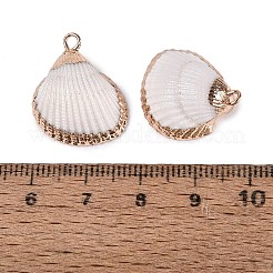 Electroplated Golden Brass Trim Natural Sea Shell Pendants&nbsp;SSHEL-N042-30