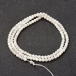 Natural White Shell Beads Strands&nbsp;X-G-G680-54